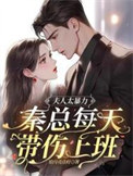 《夫人太暴力,秦总每天带伤上班》