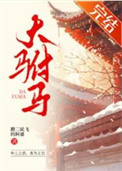 《大驸马》