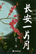 《长安一片月》