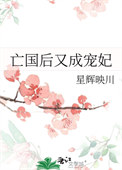 《亡国后又成宠妃》