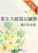 《重生为最强运输者》