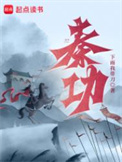 秦功小说