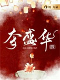 《夺盛华》小说