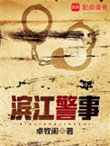 滨江警事小说