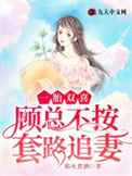 《一胎双喜：顾总不按套路追妻》