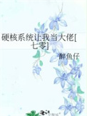 硬核系统让我当大佬[七零]小说