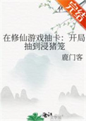 《在修仙游戏抽卡：开局抽到浸猪笼》