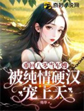 重回八零当军嫂，被纯情硬汉宠上天小说