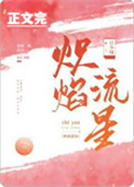 炽焰流星小说