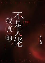 《我真的不是大佬[无限]》