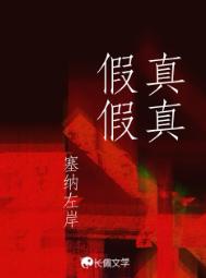 真真假假小说