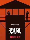 烈风小说