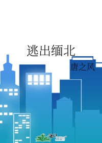 《逃出缅北》