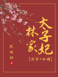 《[清穿+红楼]林家太子妃》