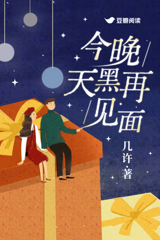 今晚天黑再见面小说