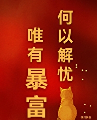 《何以解忧,唯有暴富》