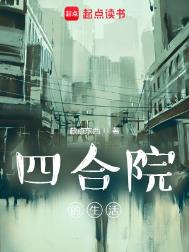 四合院的生活小说
