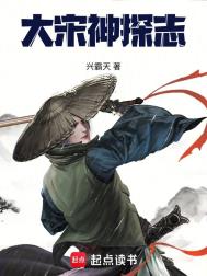 《大宋神探志》