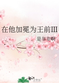 在他加冕为王前Ⅲ小说