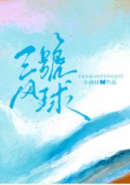 三号风球[先婚后爱]小说