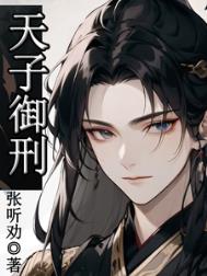 《天子御刑》小说