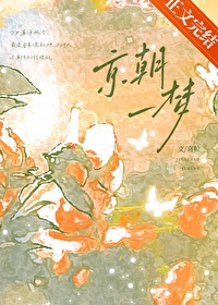 京朝一梦小说
