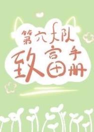 《第六大队致富手册[七零]》