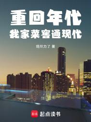 重回年代：我家菜窖通现代小说