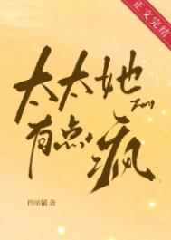 太太她有点疯txt电子书下载