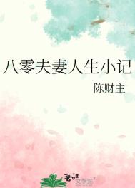 《八零夫妻人生小记》