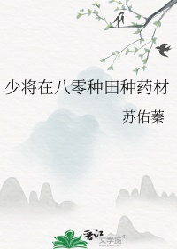 少将在八零种田种药材txt电子书下载