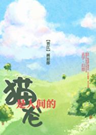 《猫是人间的龙》