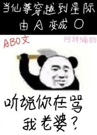 《听说你在骂我老婆?》