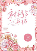 衬衫与长裙[先婚后爱]小说