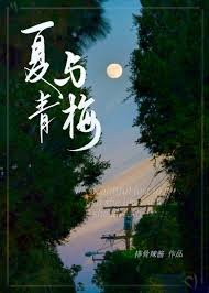 《夏与青梅/明恋她》