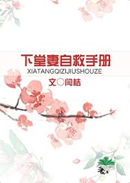 《下堂妻自救手册》