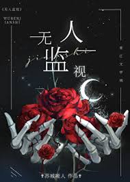无人监视