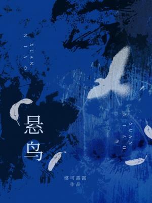 《悬鸟》