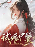 《试婚丫鬟》