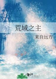 《荒域之主》