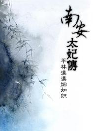 《南安太妃传》小说