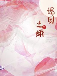 逐日之蛾