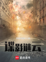《谍影谜云》