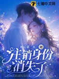 《婚后第三年,她注销身份消失了》