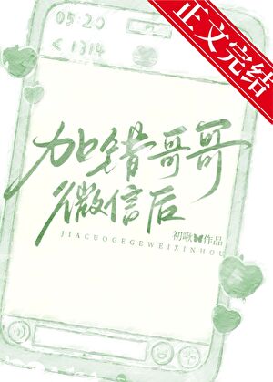 加错哥哥微信后