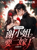 《沈总勿扰，谢小 姐要二嫁了》