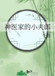 《神医家的小夫郎》