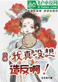 《红楼：我真没想造反啊》