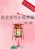 在北宋写小说养家