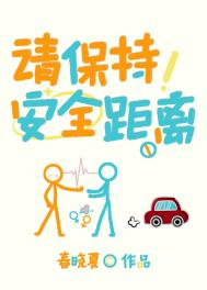 请保持安全距离小说